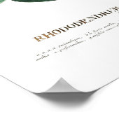 シャクナゲ ポスター (角)