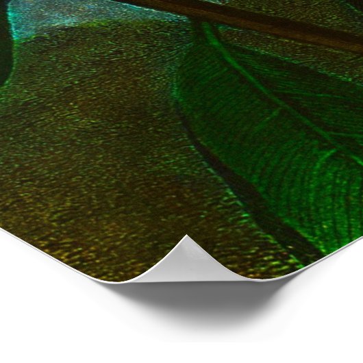 シャクナゲ ポスター (角)