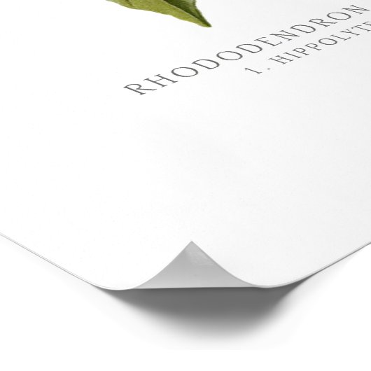 シャクナゲ ポスター (角)