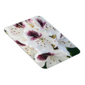 シャクナゲ マグネット (右側)