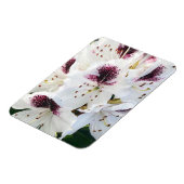 シャクナゲ マグネット (左側)