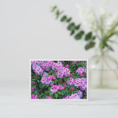 シャクナゲ、ミニフォトカード 名刺 (スタンド正面)