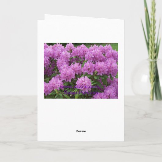 シャクナゲ、友人 カード (裏面)