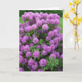 シャクナゲ、友人 カード (黄色い花)