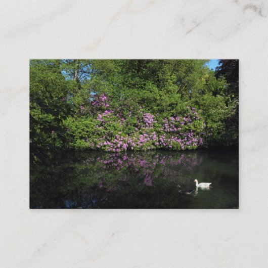 シャクナゲ 名刺 (正面)