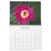 シャクヤクのカレンダー2007年8月- 2008年7月 カレンダー (2月 2026)