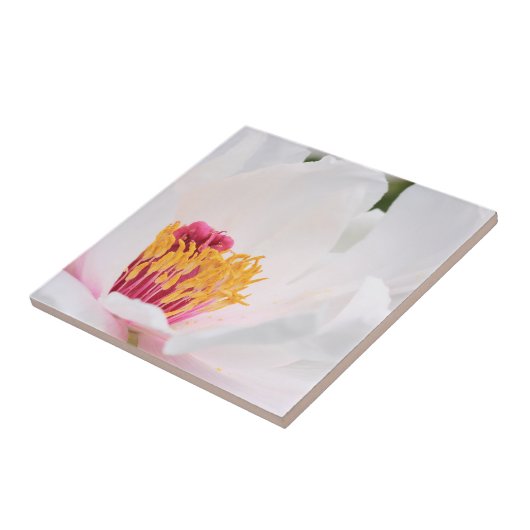 シャクヤクのタイル タイル (側面)