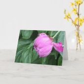 シャクヤクのメッセージカード カード (黄色い花)