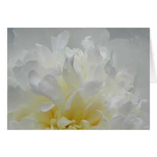 シャクヤクの炎