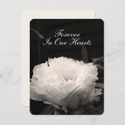 シャクヤクの花の写真1つの葬儀の発表 招待状 (正面/裏面)