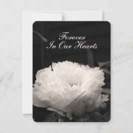 シャクヤクの花の写真1つの葬儀の発表 招待状