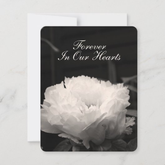 シャクヤクの花の写真1つの葬儀の発表 招待状 (正面)