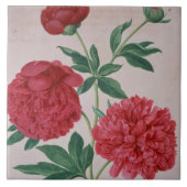 シャクヤクは、ナッサウのFlorilegiumからの46をめっきします(w/c タイル (正面)