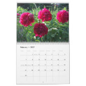 シャクヤク2013の花のカレンダー カレンダー (2月 2027)