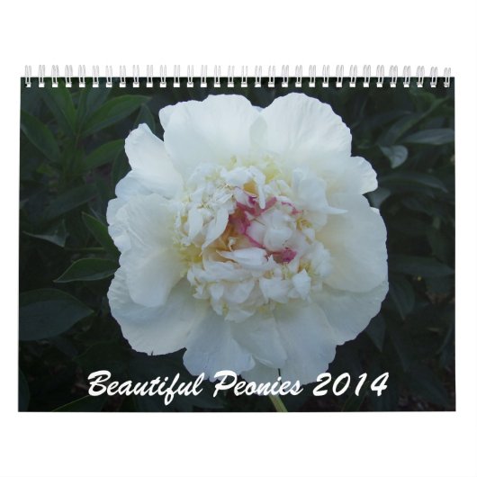 シャクヤク2014の花のカレンダー カレンダー (カバー)