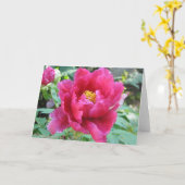 シャクヤク カード (黄色い花)