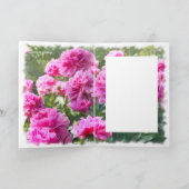 シャクヤク カード (内部)