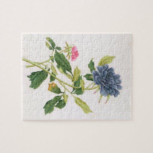 シャクヤク ジグソーパズル (横)