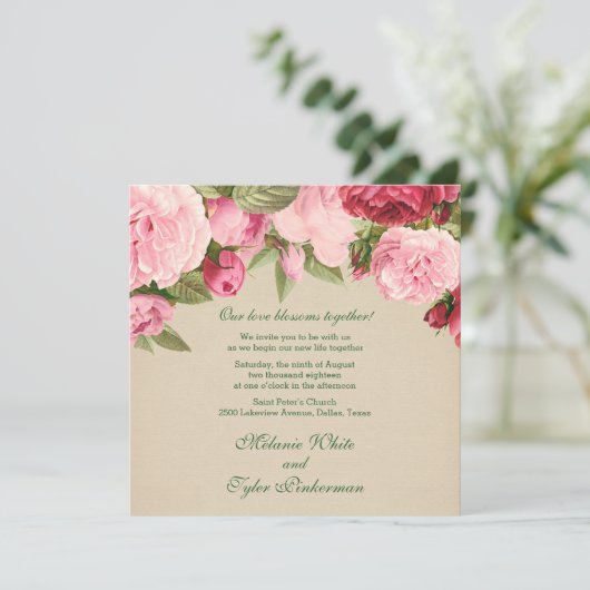 シャクヤク 招待状 (スタンド正面)