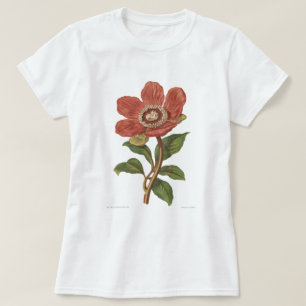 シャクヤク、旧式でビクトリアンな植物のイメージ Tシャツ