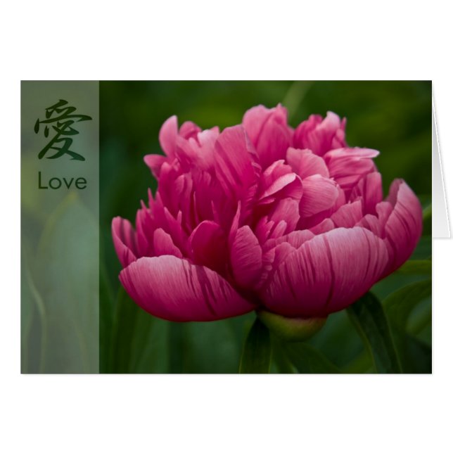 シャクヤク • 漢字愛カード (正面横)