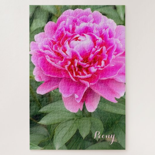 シャクヤク [花] ジグソーパズル (縦)