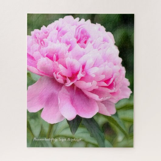 シャクヤク [花] ジグソーパズル (縦)