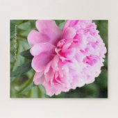 シャクヤク [花] ジグソーパズル (横)