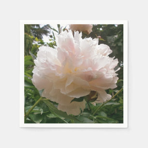 シャクヤク。 花 スタンダードカクテルナプキン