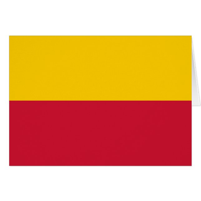 シャゲン国旗 (正面横)