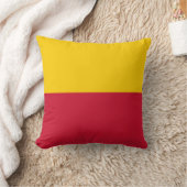 シャゲン国旗 クッション (ブランケット)