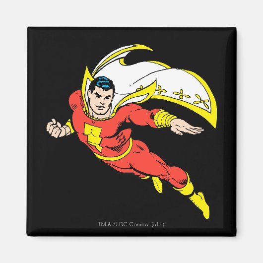 シャザムソアリング マグネット (正面)