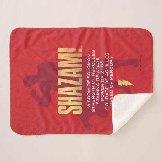 シャザム！神々の怒り |シルエットを曲げる シェルパブランケット (正面(横))