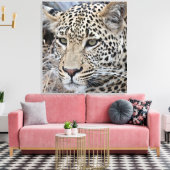 シャシャ若い雄ヒョウ キャンバスプリント (インサイチュ (リビング))