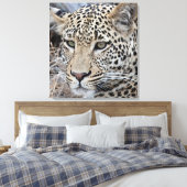 シャシャ若い雄ヒョウ キャンバスプリント (インサイチュ (寝室))