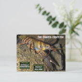 シャスタザリフィッシュは絶滅危惧種 – 3 - シーズンポストカード (スタンド正面)