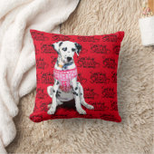 シャスタダルマティアンレッドピロー クッション (ブランケット)