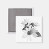 シャスタデイジーの白黒花モザイク マグネット (正面/裏面)