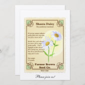 シャスタデイジーの種のパケット 招待状 (正面/裏面)