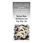 シャスタデイジー写真 ラックカード (裏面)