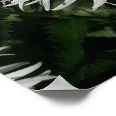 シャスタデイジー熱狂する去った。 ポスター (角)