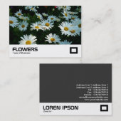 シャスタデイジー 名刺 (正面/裏面)