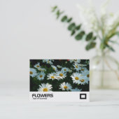 シャスタデイジー 名刺 (スタンド正面)