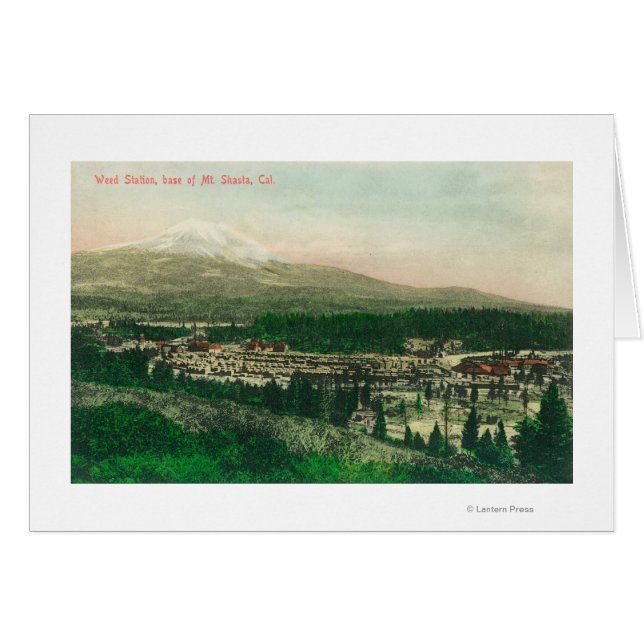 シャスタ山麓の雑草駅の空中眺め (正面横)