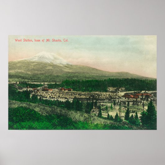 シャスタ山麓の雑草駅の空中眺め ポスター (正面)