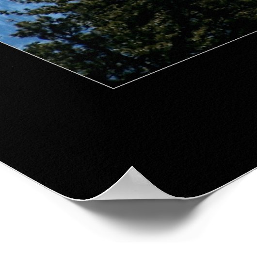 シャスタ山 ポスター (角)