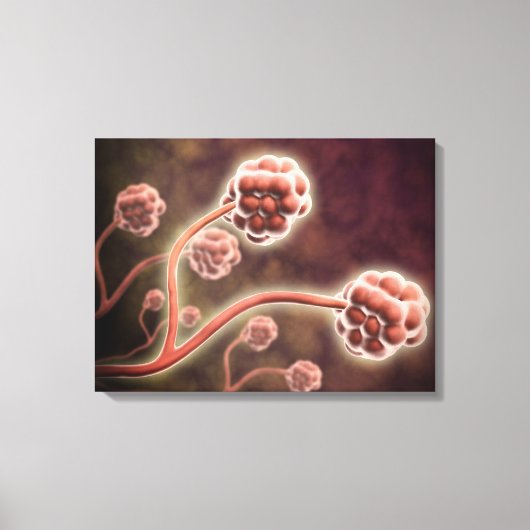 シャタルムの顕微鏡的見解 キャンバスプリント (正面)