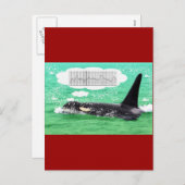 シャチのクジラのクリスマスの緑海のメリークリスマス シーズンポストカード (正面/裏面)
