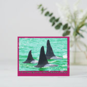 シャチのクジラはクリスマスの休日の航行を来ます シーズンポストカード (スタンド正面)