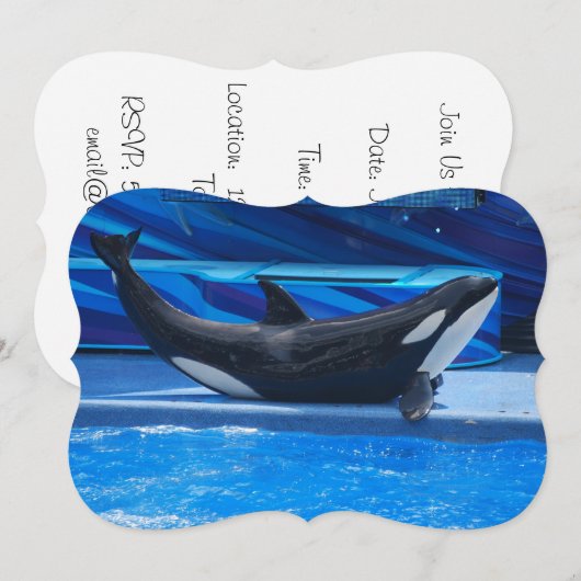 シャチのクジラ 招待状 (正面/裏面)